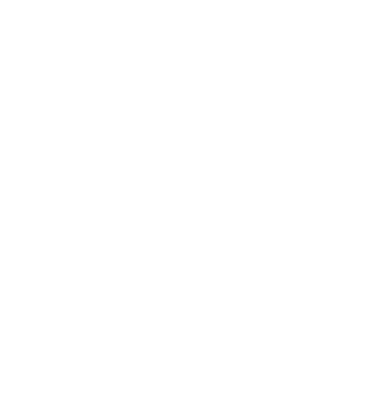 TheArcLink